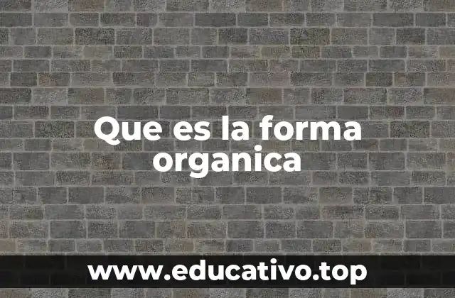La esencia de la forma orgánica en el diseño