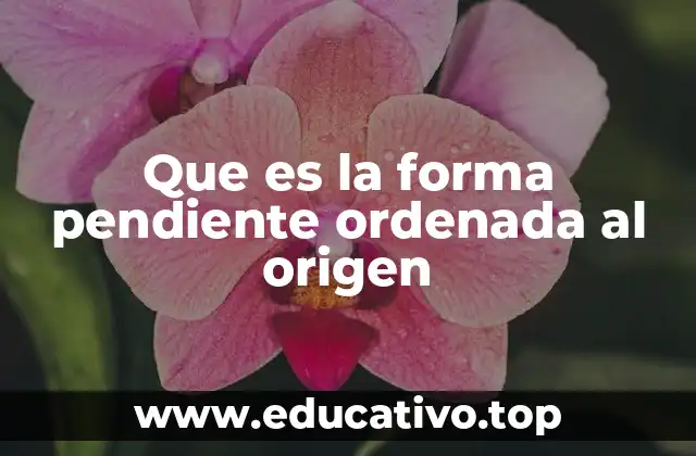 Que es la forma pendiente ordenada al origen