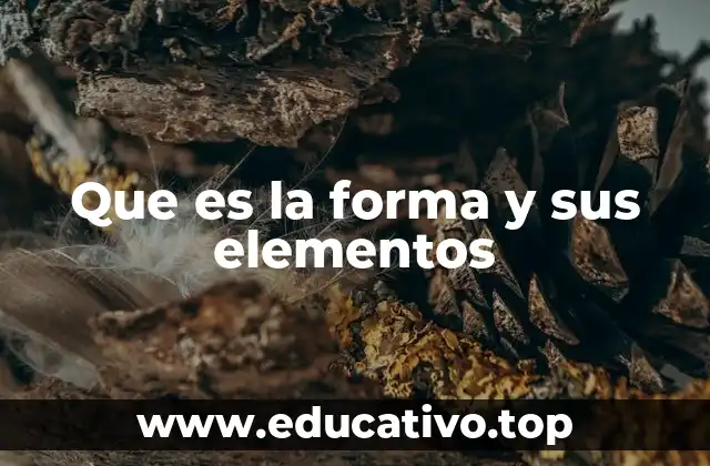 Que es la forma y sus elementos