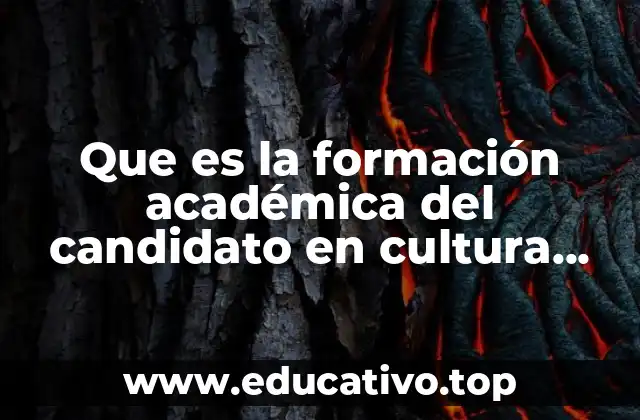 Que es la formación académica del candidato en cultura general