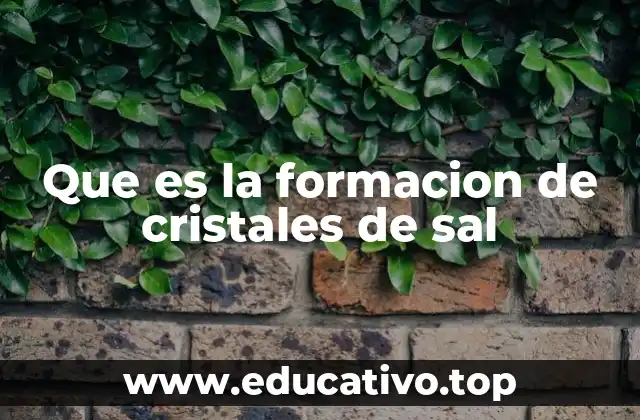 Que es la formacion de cristales de sal
