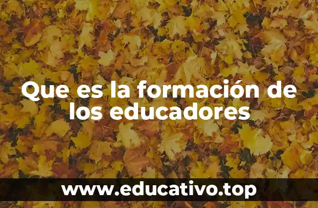 Que es la formación de los educadores