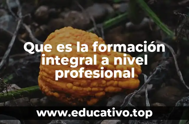 El impacto de una formación integral en el desarrollo profesional
