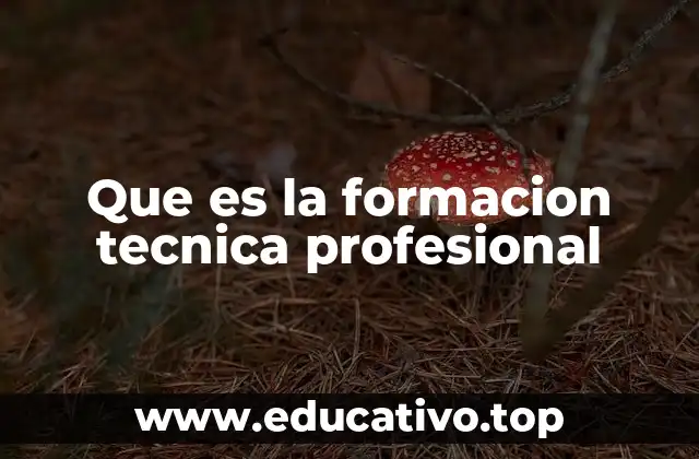 Que es la formacion tecnica profesional