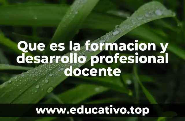 Que es la formacion y desarrollo profesional docente