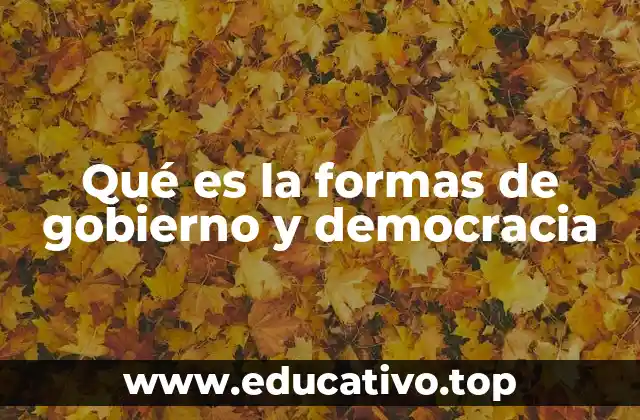 Qué es la formas de gobierno y democracia