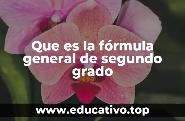 Que es la fórmula general de segundo grado