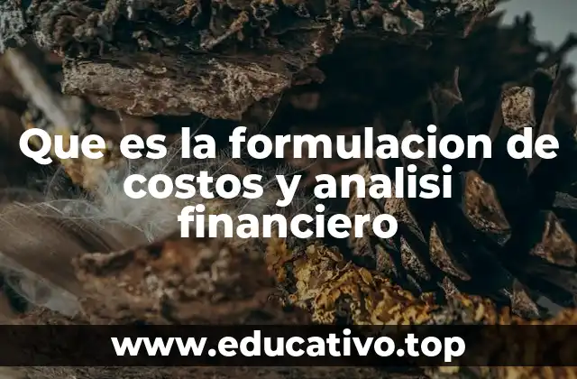 Que es la formulacion de costos y analisi financiero