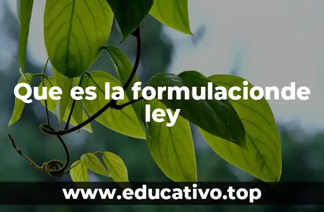 Que es la formulacionde ley