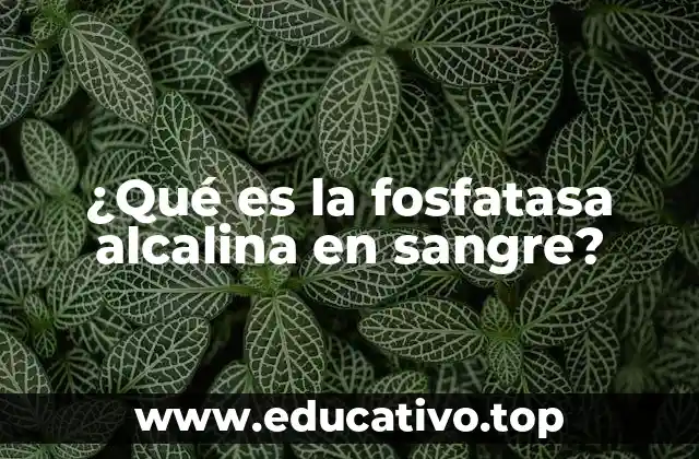 ¿Qué es la fosfatasa alcalina en sangre?