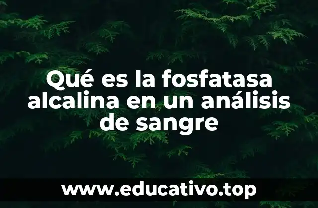 Qué es la fosfatasa alcalina en un análisis de sangre