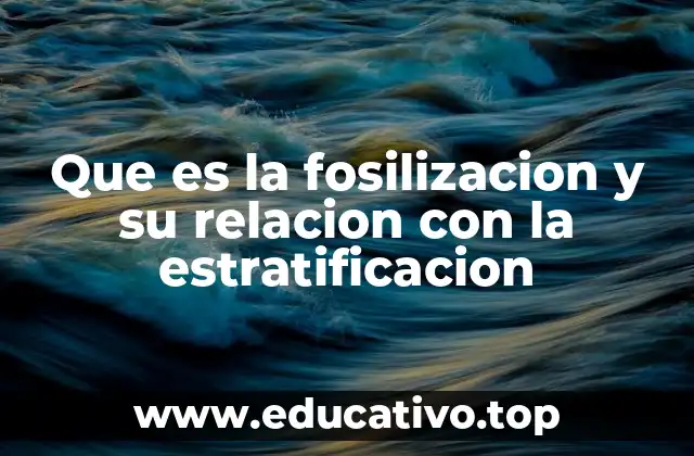 Que es la fosilizacion y su relacion con la estratificacion