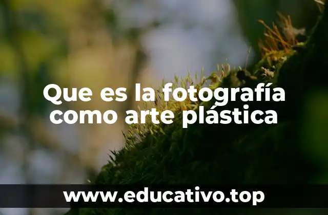 Que es la fotografía como arte plástica