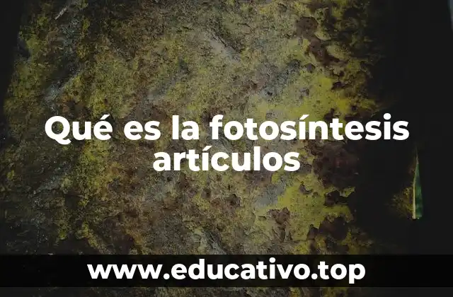 Qué es la fotosíntesis artículos