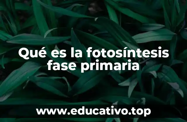 El proceso inicial de captación de energía solar