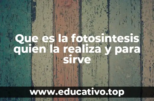 Que es la fotosintesis quien la realiza y para sirve