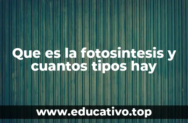 Que es la fotosintesis y cuantos tipos hay