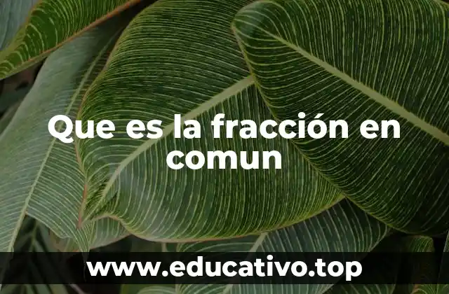 Que es la fracción en comun