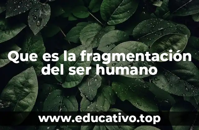 Que es la fragmentación del ser humano