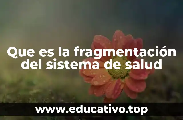 Que es la fragmentación del sistema de salud