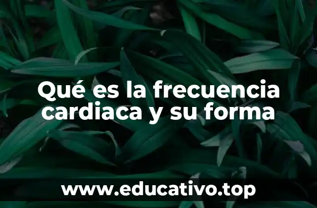 Qué es la frecuencia cardiaca y su forma