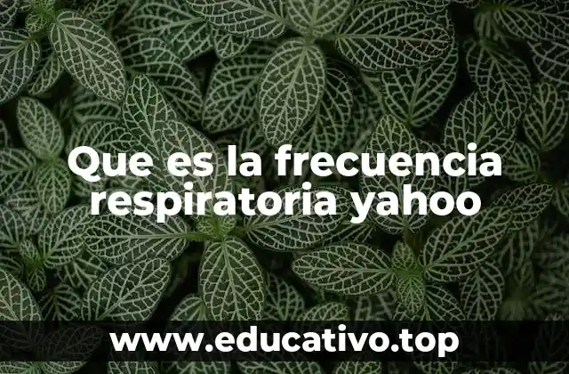 Que es la frecuencia respiratoria yahoo