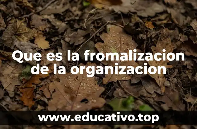 Que es la fromalizacion de la organizacion