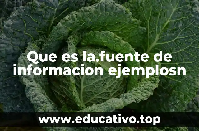 Que es la.fuente de informacion ejemplosn