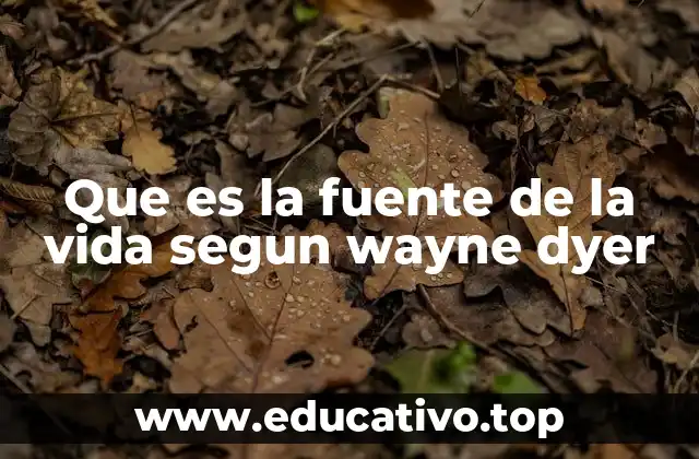 La conexión entre la conciencia y el universo