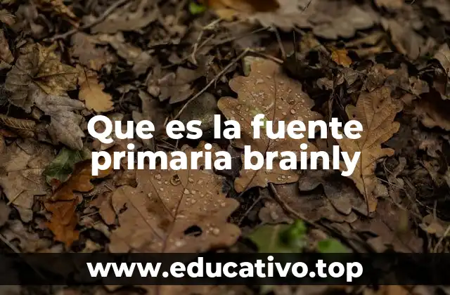 Que es la fuente primaria brainly
