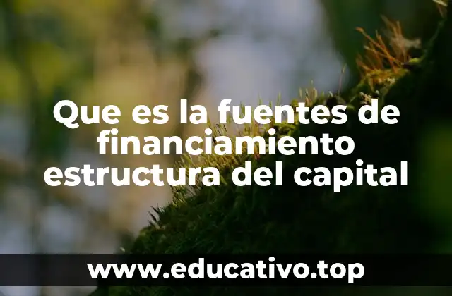 Que es la fuentes de financiamiento estructura del capital