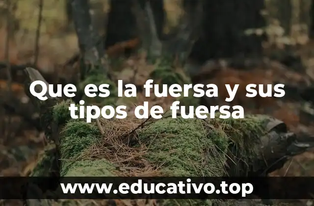 Que es la fuersa y sus tipos de fuersa