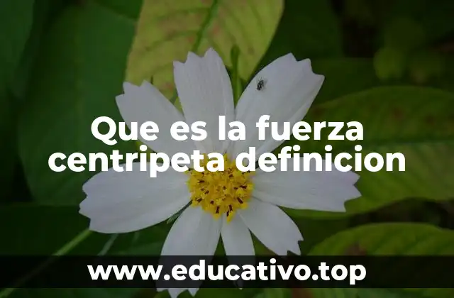 Que es la fuerza centripeta definicion
