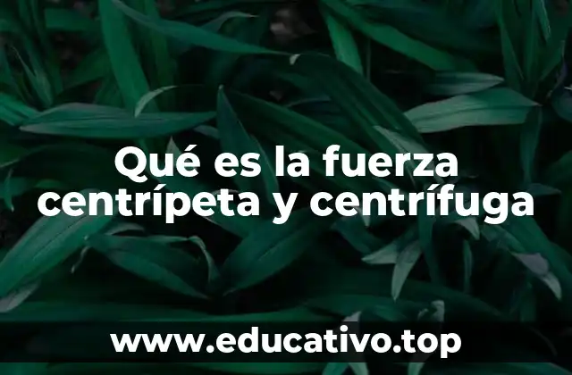 Qué es la fuerza centrípeta y centrífuga