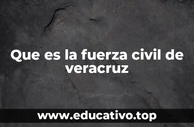 Que es la fuerza civil de veracruz