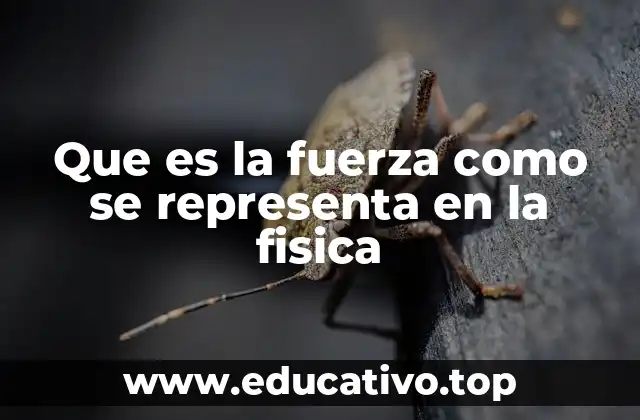 Que es la fuerza como se representa en la fisica