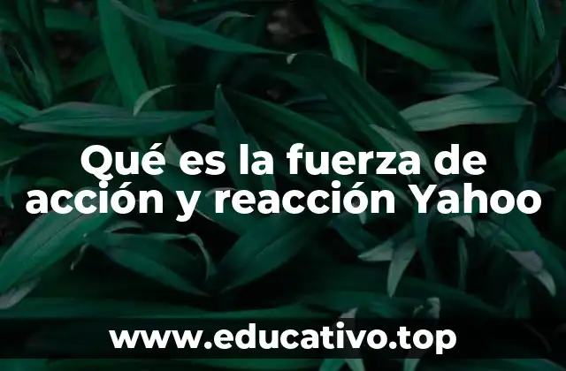 Qué es la fuerza de acción y reacción Yahoo