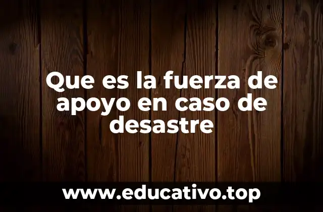 Que es la fuerza de apoyo en caso de desastre