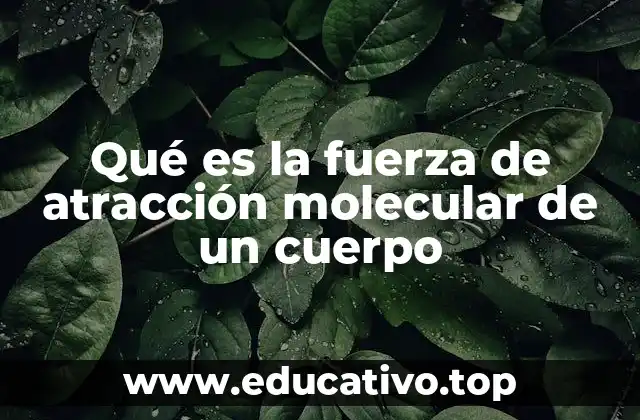 Qué es la fuerza de atracción molecular de un cuerpo