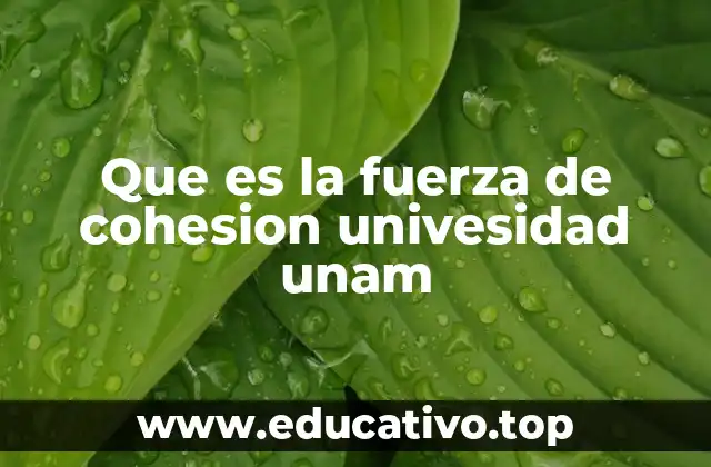 La importancia de la unión en la vida universitaria