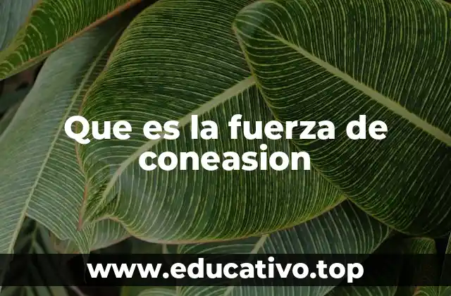 Que es la fuerza de coneasion