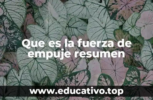 Que es la fuerza de empuje resumen