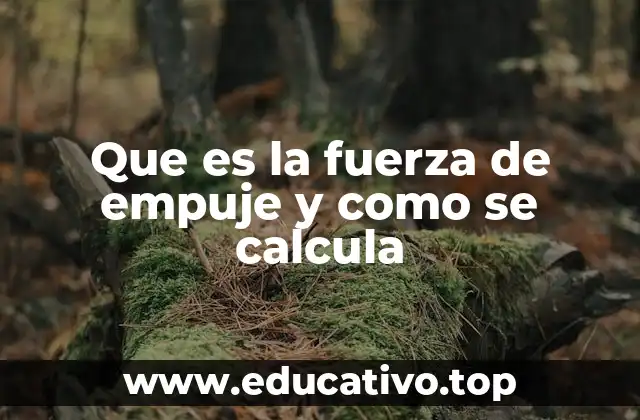 Que es la fuerza de empuje y como se calcula