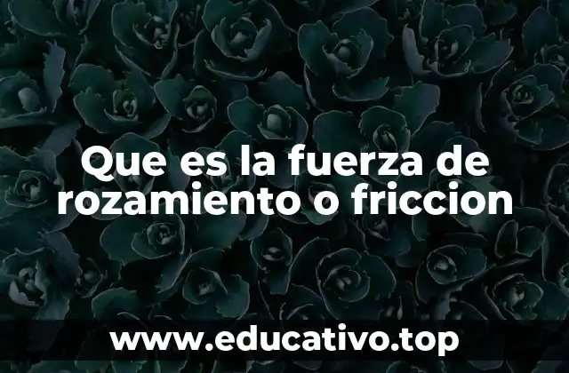 Que es la fuerza de rozamiento o friccion