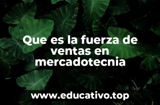 Que es la fuerza de ventas en mercadotecnia