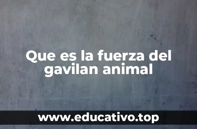 Que es la fuerza del gavilan animal