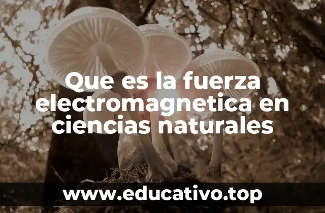 Que es la fuerza electromagnetica en ciencias naturales