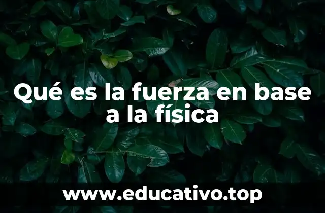 Qué es la fuerza en base a la física