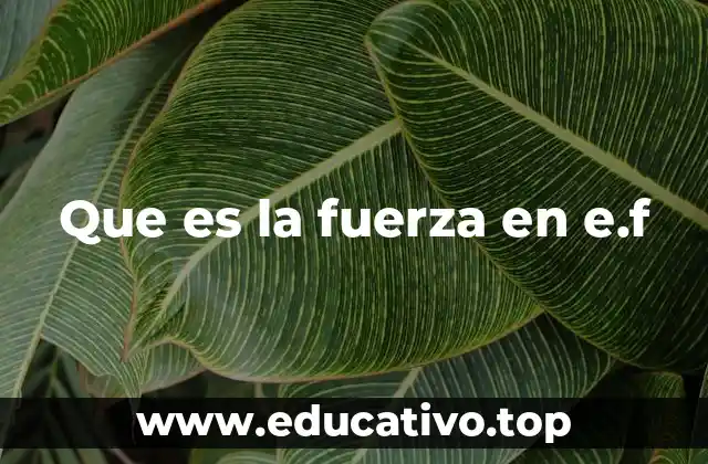 Que es la fuerza en e.f
