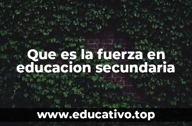 Que es la fuerza en educacion secundaria